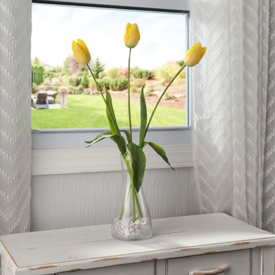 Tulipe Holland 23 "Just Cut
