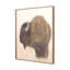 Bison Framed Painting-528795413