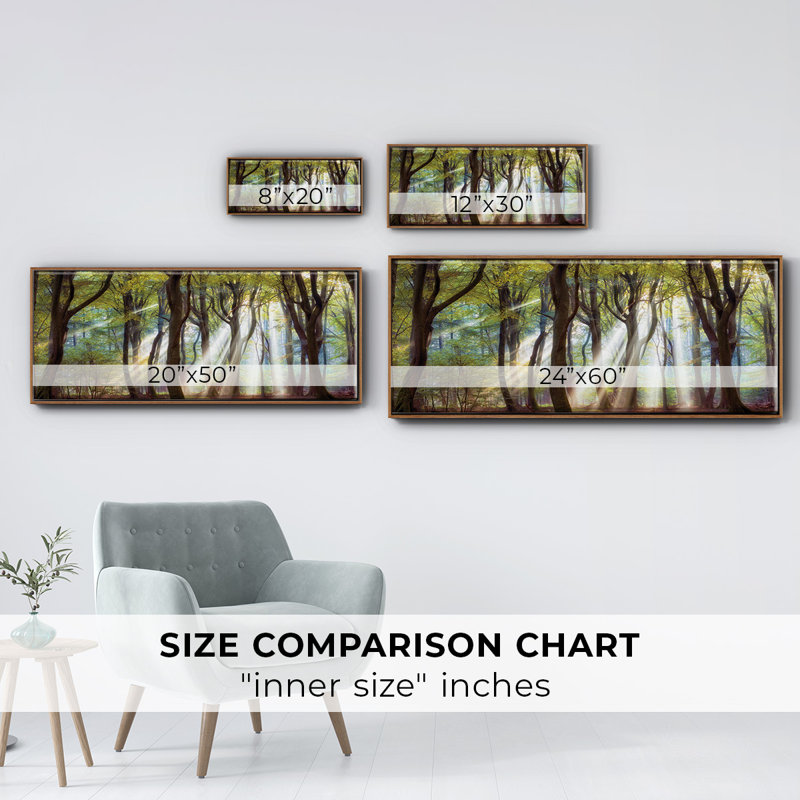 Majestic- Framed Canvas, 24" H x 60" W
