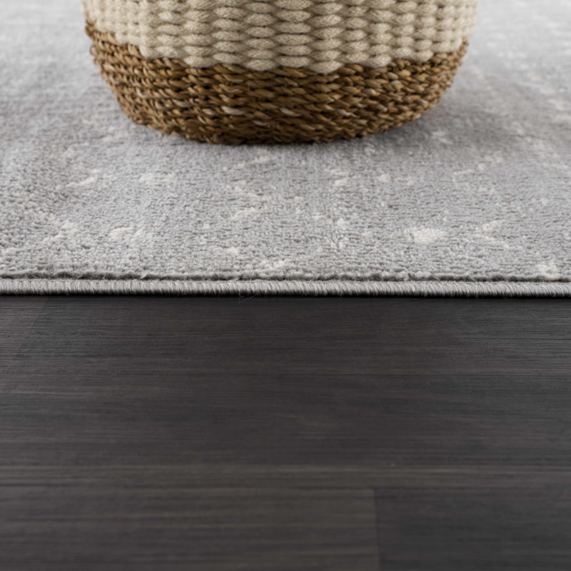 Dounia Southwestern Indoor Rug, Rectangle 5'3" x 7', Light Gray