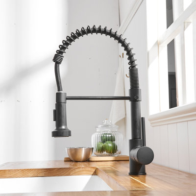 Robinet de cuisine commercial avec pulvérisateur rétractable, robinet d'évier de cuisine à poignée simple