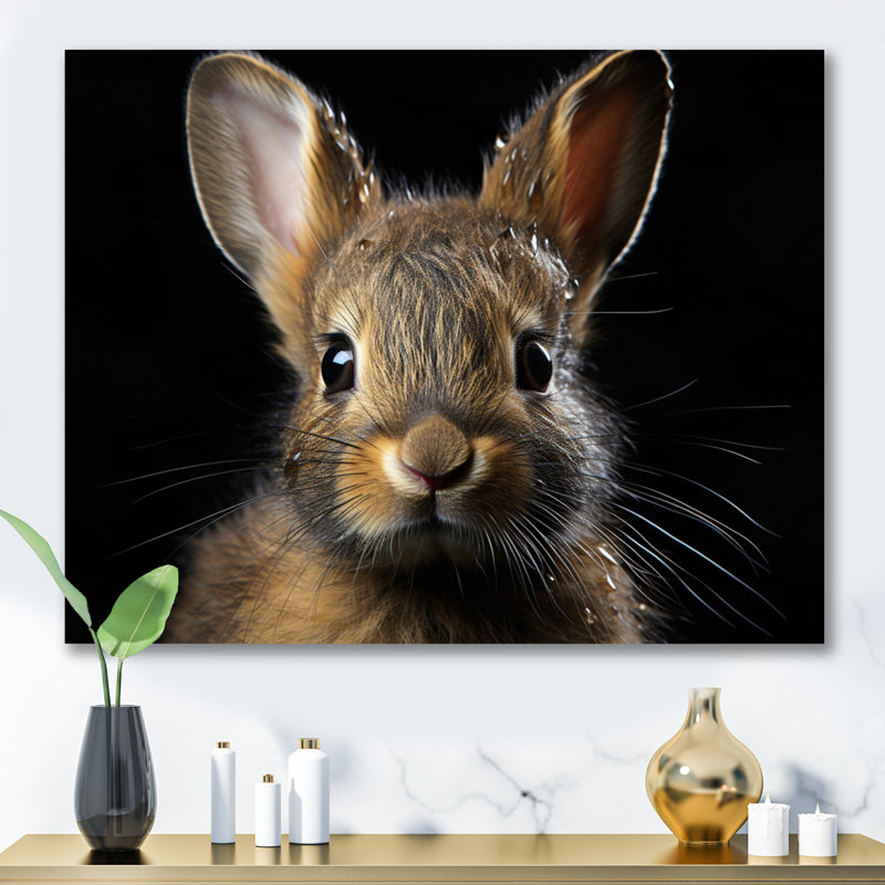 Cute Rabbit Portrait - Animals Canvas Wall Art, H 30 po x l 40 po x P 1,5 po, Toile tendue