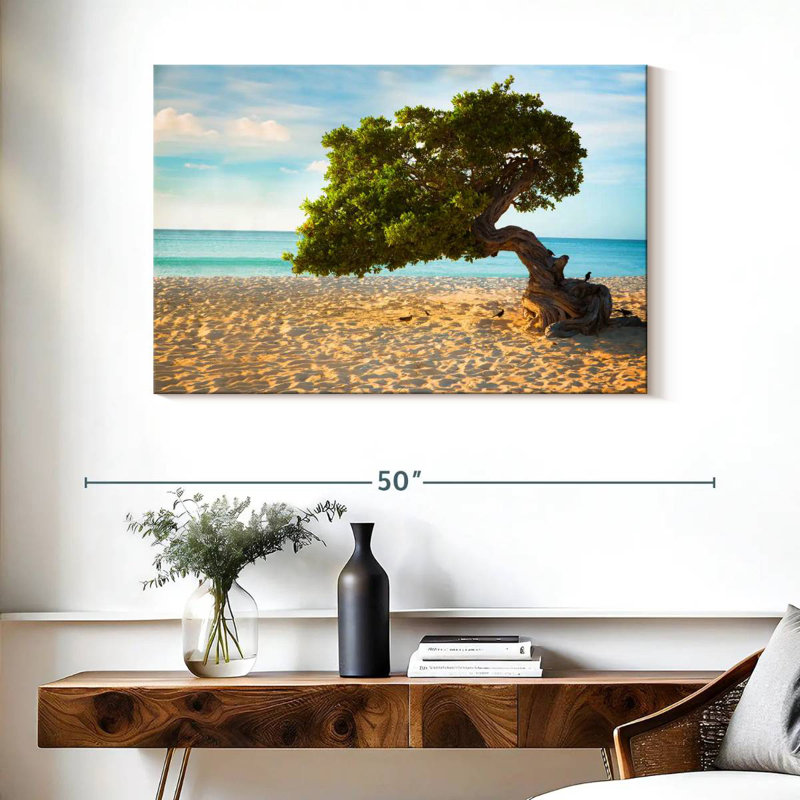 Arbre Gillard Divi-Divi à Aruba, H 26 po x l 39 po