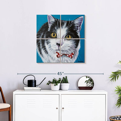 Brampt Classy Cat I