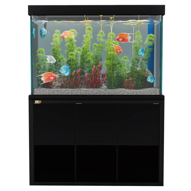 Réservoir d'aquarium 50 gallons, Noir, 175 gallons (H 51 po x l 14 po x P 24 po)