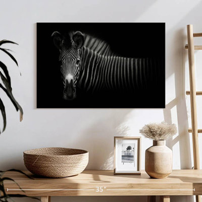 Brampt Zebra In The Dark