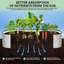 Planter-596317417-596317418