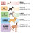 Orthopedic Polyester Pet Bed-51304728-51304733