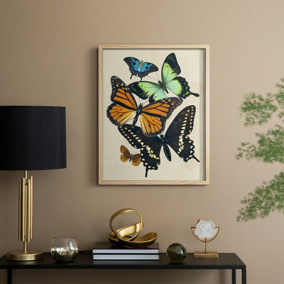 Collaged Butterflies I Framed Print - Solid Wood