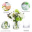 Arrangements floraux mixtes dans un vase