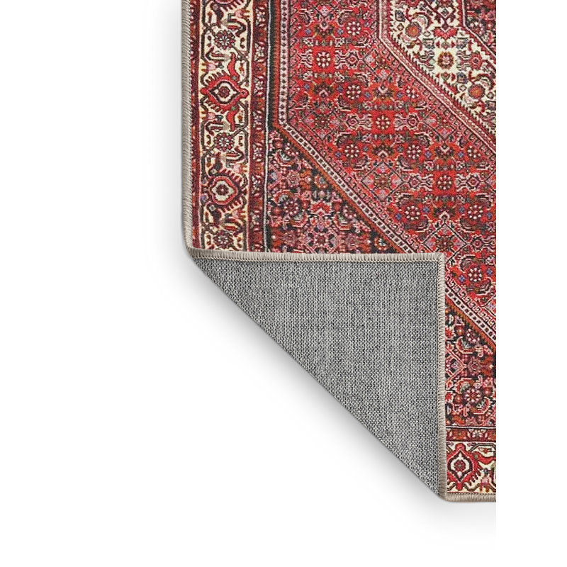 Oriental Indoor Rug, Rectangle 4' x 6'