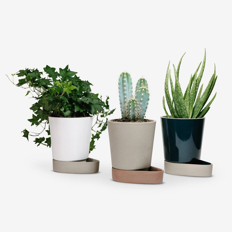 Sip Planter, Stone