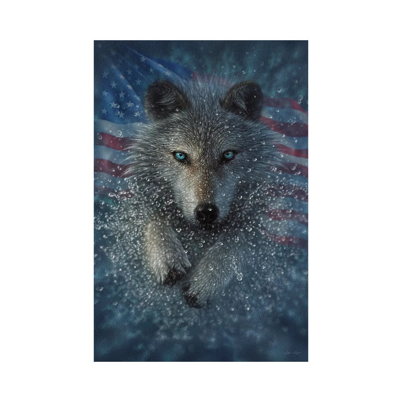 Wolf Splash America by Collin Bogle - Wrapped Canvas Painting