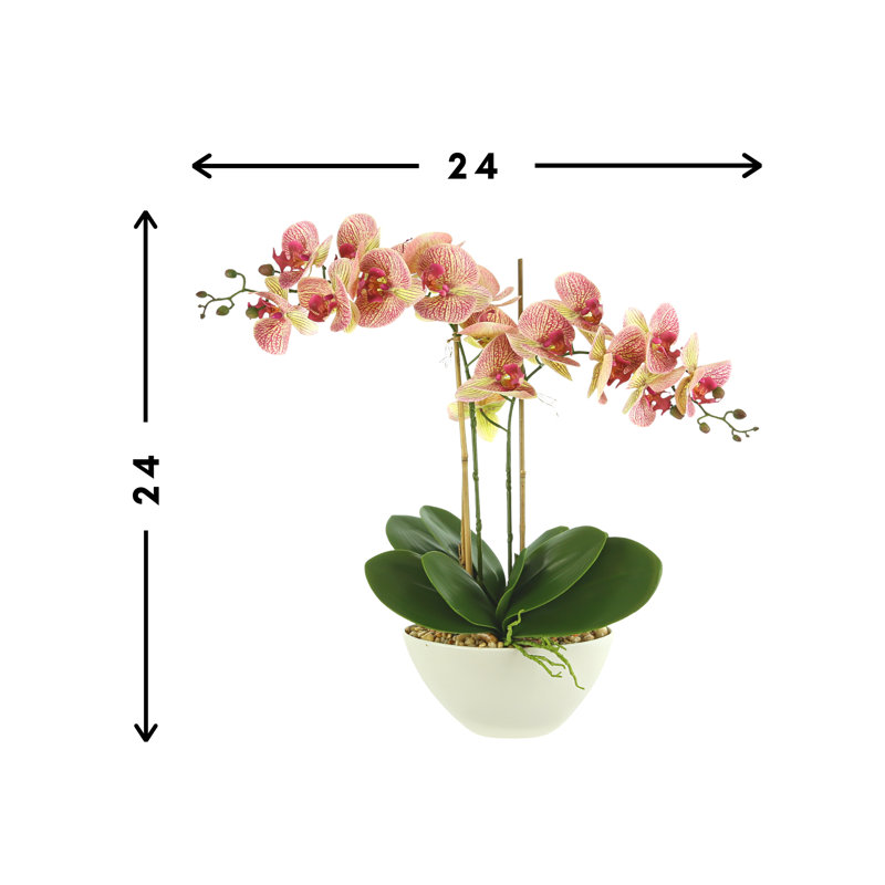 Arrangement d'orchidées en pot, Or rose
