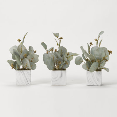 Faux Seed Eucalyptus Plant in Ceramic Planter