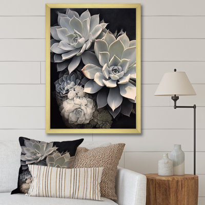 " Grey White Resilience Succulent "
