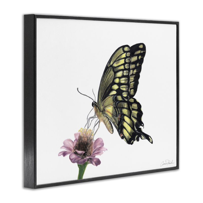 Art minimaliste de giclées sur papillons et fleurs par Connie Resch, H 11 po x l 14 po, Giclée encadrée noir minuit