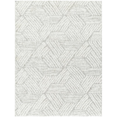 Aminullah Abstract Indoor Rug