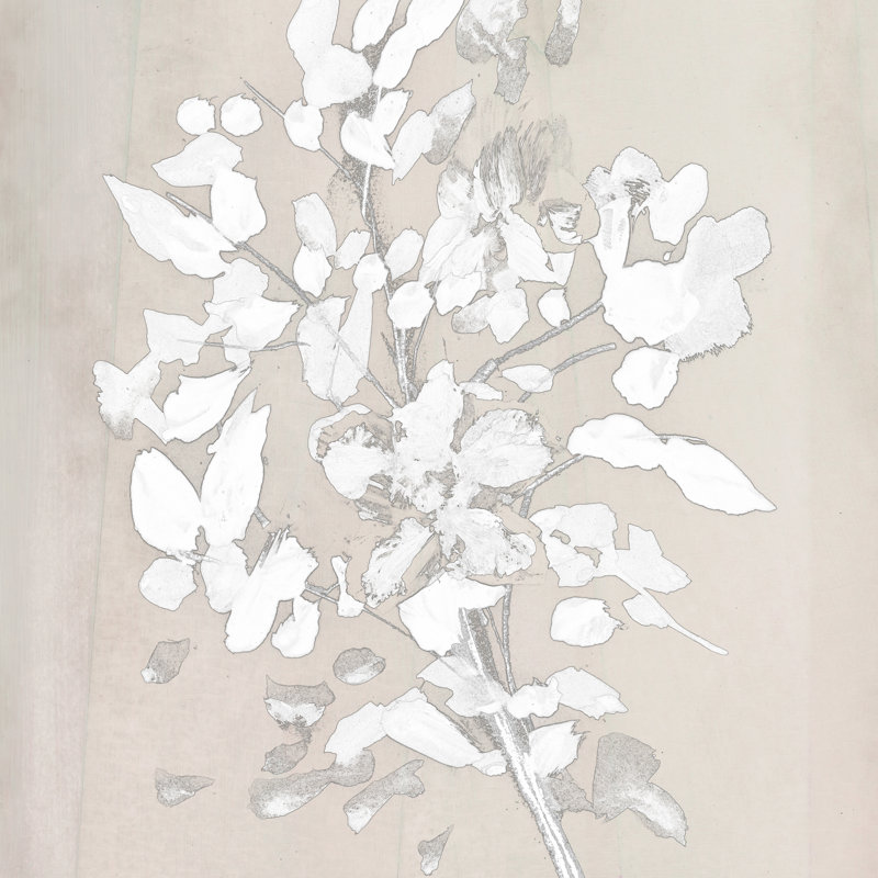 «Soft Bloom» par Dan Hobjour, reproduction faite à la machine, H 12 po x l 12 po, Non, Toile avec cadre flottant noir