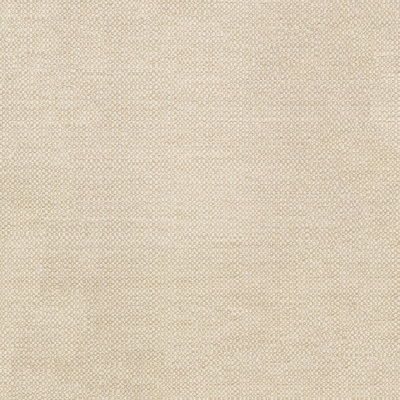 Sunbrella Furniture Action Fabric