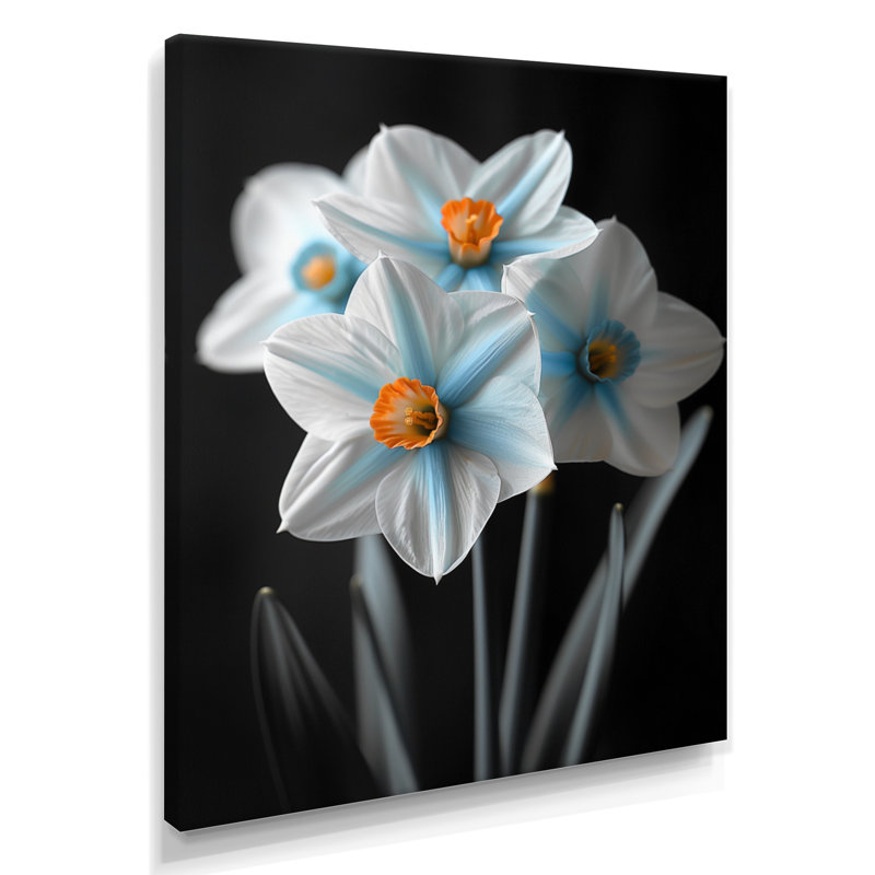 Monochromes Whimsy Wonderland Daffodils II - Jonquilles, art mural, Toile tendue, H 12 po x l 20 po