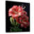 Cadre flottant simple noir