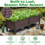 Pot Planter