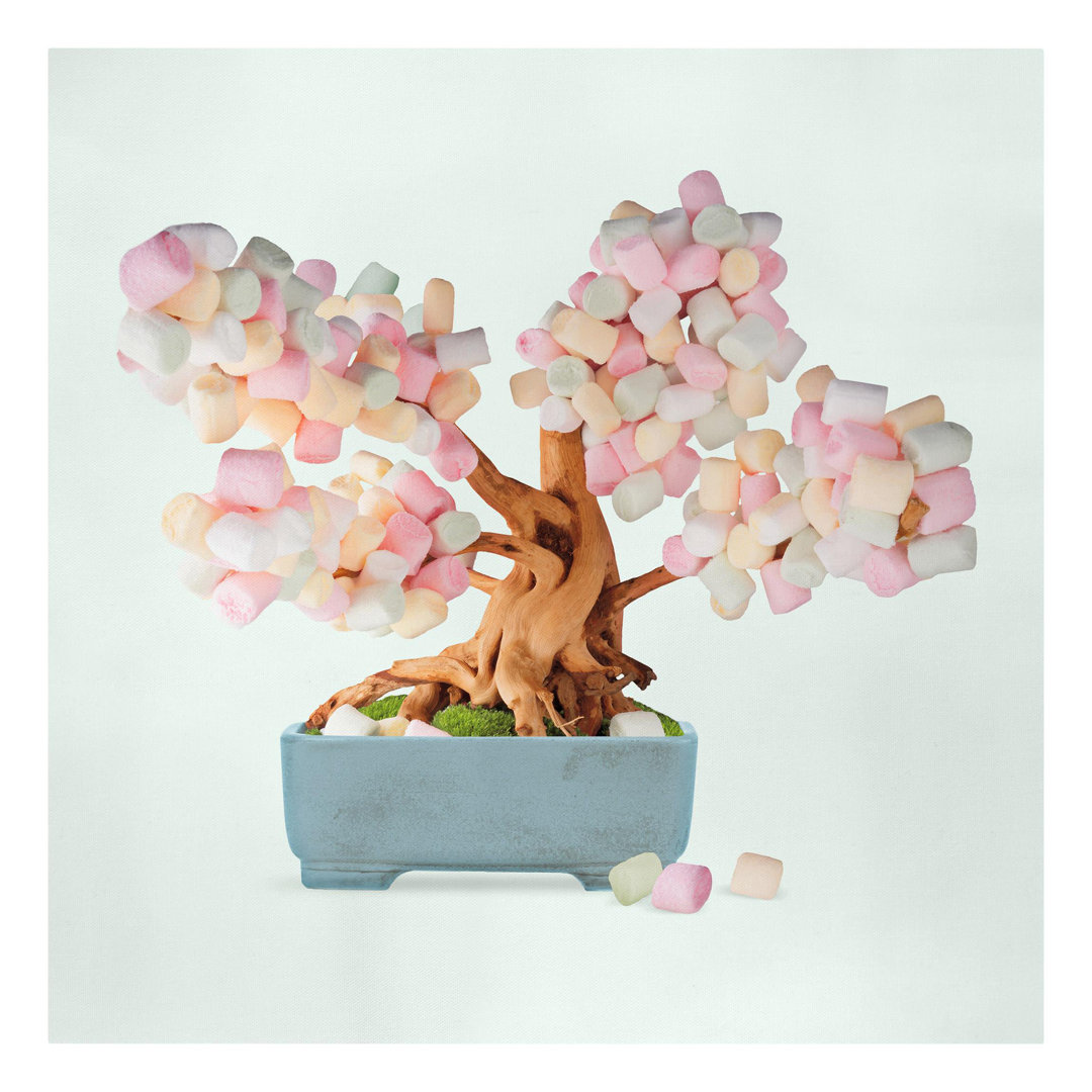 Leinwandbild Bonsai mit Marshmallows von Jonas Loose