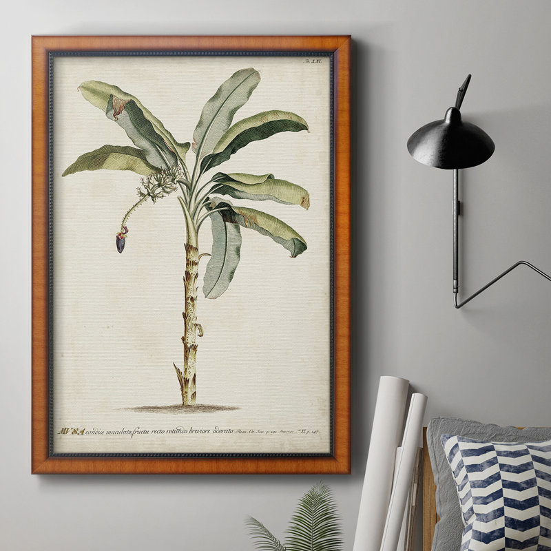 Toile encadrée Banana Palm II - prête à être accrochée, H 20 po x l 16 po x P 2,5 po
