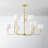 Paramus 8 Light Chandelier-93544860