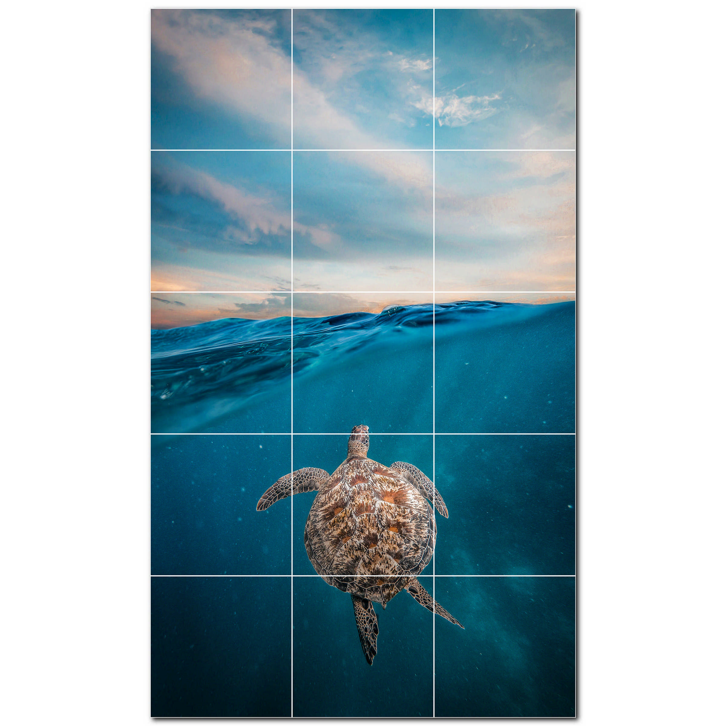 Picture Turtle Photo 8 X 8 Satin Ceramic Decorative Mural Wayfair 3612