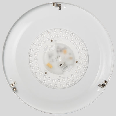 Hopeland Acrylic LED Flush Mount