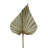 Erkson Preserved Palm Spear Stems