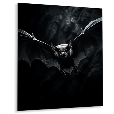 " Bat Silent Wings "