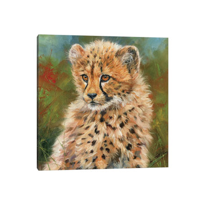 Cheetah Cub Portrait by David Stribbling - Wrapped Canvas Painting