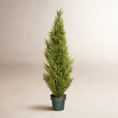 53" Cedar Topiary in Pot