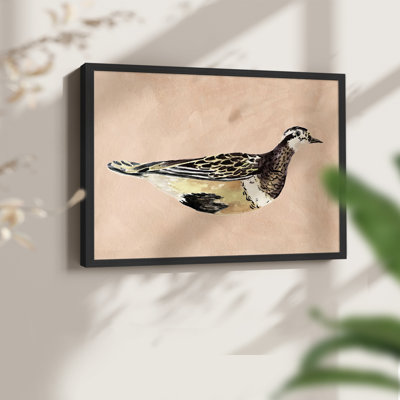 «Feathered Friend IV», reproduction encadrée