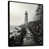 Black Floater Framed