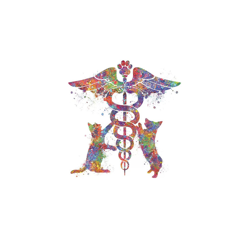 Caduceus Vet Cat 1 Piece Wrapped Canvas Wall Art, 66.04 cm H x 45.72 cm W x 3.175 cm D