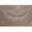 Tapis de la laine 9 pi 9 po x 9 pi 8 po noué la à la main one-of-kind-oushak beige Sipos