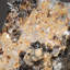 Golden Calcite On Sphalerite Matrix