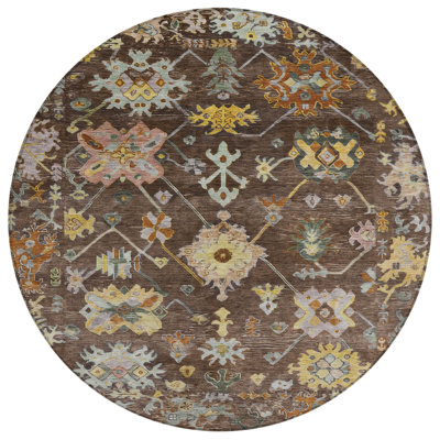 Machine Washable Indoor/Outdoor Leavittsburg ACN2234 Global Rug