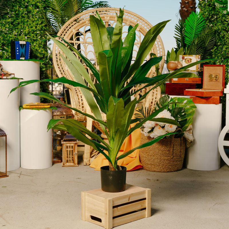 40 po Spathiphyllum artificiel en pot