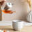 Glass Teapot 2 Cup