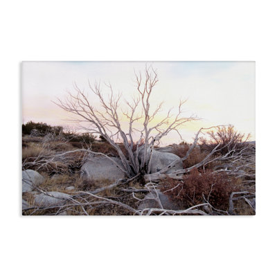 Rocky Foothills Terrain Canvas, design by Gemma Bardot