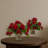 Geranium Flowering Plant with Floral Planter