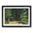 Black Framed