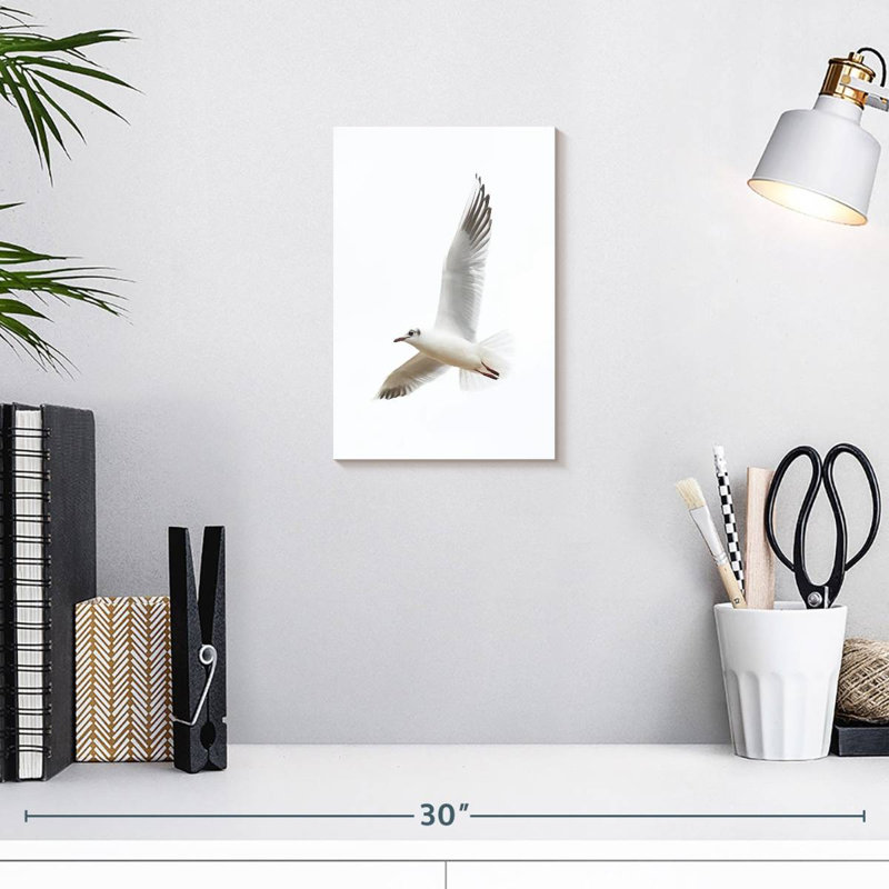 Brampt Flying Kittiwake Gull, 12" H x 8" W
