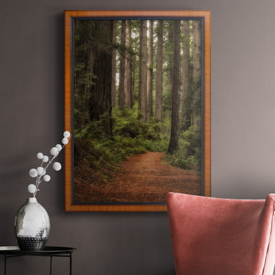 " Forest Path II "