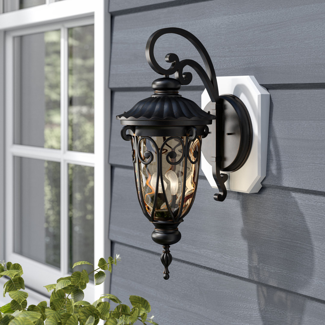 Erickson 1-Light Outdoor Wall Lantern Astoria Grand 